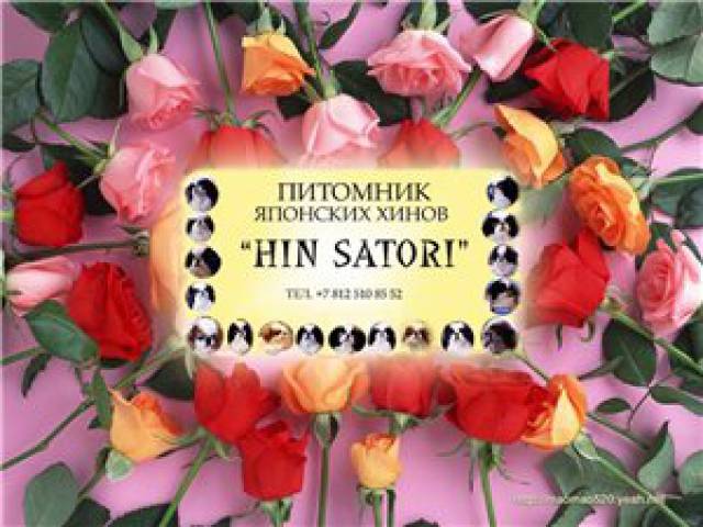 Хин Сатори Идзанами