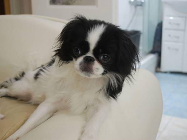 Лунная Соната