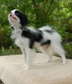 Уме Эльв - 5 мес