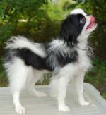 Уме Эльв - 5 мес