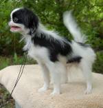 Уме Эльв - 5 мес