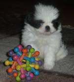 1 мес 1 неделя